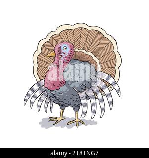 Illustrazione vettoriale di tacchino colorata dei cartoni animati Illustrazione Vettoriale