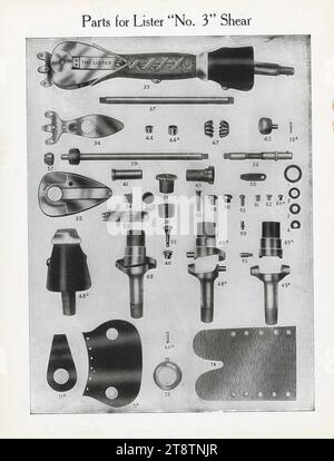 Levin & Co Ltd (Wellington, nuova Zelanda): Macchina per tosatura pecore Lister. Le parti per il cesoia Lister "N. 3" 1909-1910, mostrano un'illustrazione di circa 50 viti, bulloni, giunti, dadi, rondelle, boccole e perni che compongono la cesoia Foto Stock