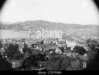 Vista generale di Wellington, nuova Zelanda presa da Kelburn guardando ad est, Vista presa da Kelburn guardando ad est verso Oriental Bay e Mt Victoria. Le case sulla terrazza sono in primo piano. Il municipio può essere visto in costruzione a media distanza. P nei primi anni '1900 Foto Stock