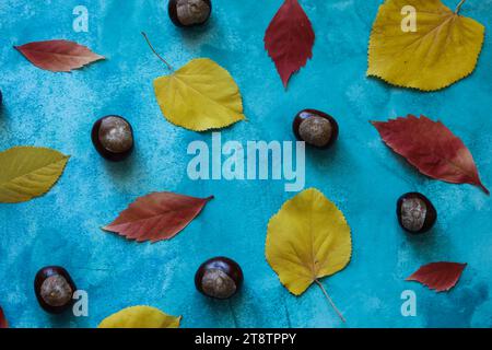 castagne e foglie autunnali gialle e rosse su sfondo blu brillante Foto Stock