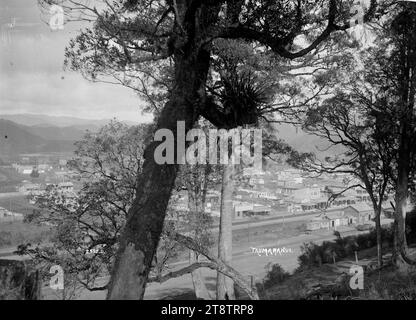 Vista generale su Taumarunui, vista su Taumarunui tra gli alberi su una collina, con la stazione ferroviaria in primo piano e la strada principale dietro la linea ferroviaria. circa 1910 anni Foto Stock