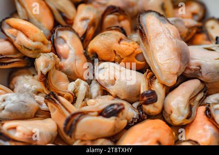 Cozze, crostacei di pesce senza alette, crostacei cotti alla bollita, primo piano, molti pezzi sfusi, con effetto bokeh. Foto Stock