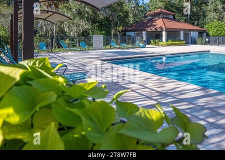 Piscina privata presso il Sawgrass Players Club di Ponte Vedra Beach, Florida. (USA) Foto Stock