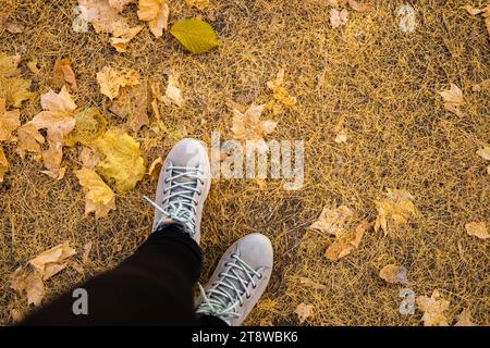 Vista dall'alto di una persona anonima con stivali in piedi su un terreno coperto da foglie gialle cadute. Copia modello spazio Foto Stock