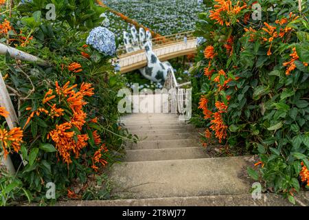 I fiori di ortensia stanno fiorendo nel giardino da Lat. Questo è un luogo da visitare il giardino turistico ecologico attira altri turisti negli altopiani del Vietnam. N Foto Stock