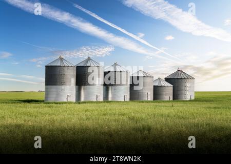 Silos di grano in fila su un campo di grano che si affaccia sulle praterie canadesi con un getto d'acqua sospeso nella contea di Rocky View, Alberta, Canada. Foto Stock