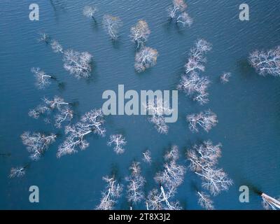 Vista aerea della mattina sul lago Tuyen Lam a Dalat, Vietnam, splendido paesaggio per viaggi ecologici in Vietnam, incredibile lago tra pinete, barca a wat Foto Stock