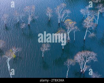 Vista aerea della mattina sul lago Tuyen Lam a Dalat, Vietnam, splendido paesaggio per viaggi ecologici in Vietnam, incredibile lago tra pinete, barca a wat Foto Stock