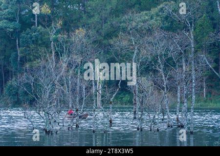 Vista aerea della mattina sul lago Tuyen Lam a Dalat, Vietnam, splendido paesaggio per viaggi ecologici in Vietnam, incredibile lago tra pinete, barca a wat Foto Stock