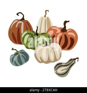 Le zucche di diverse varietà di forme e colori sono isolate su white.Composition di zucche mature autunnali, possono essere utilizzate per il Ringraziamento Illustrazione Vettoriale