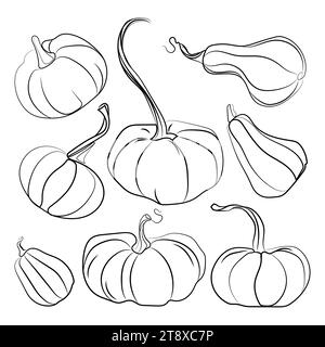 Set di icone di disegno linea nero della zucca autunnale.illustrazioni vettoriali bianche.modello di contorno zucca di forma diversa.Ringraziamento e Halloween, ritaglio stagionale Illustrazione Vettoriale