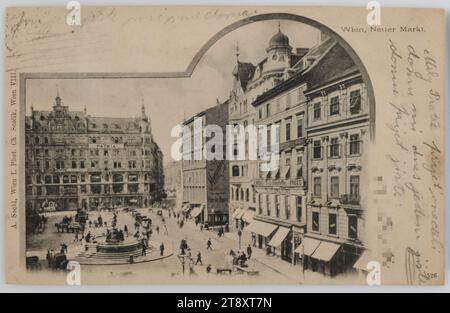 Vienna, Neuer Markt, A. Sockl, produttore, Charles Scolik (1854-1928), fotografo, 1900, cartone, collotipo, iscrizione, DA, Vienna, A, Leitmeritz, Litoměřice, INDIRIZZO, Sig., Mahler a Leittmeritz, Steyfaniestraße, Leitmeritz, MESSAGGIO, Milý bratře přineď V neděli domů mi dnes jedeme jistě domů přijeď jistě, caro fratello torna a casa domenica. CE ne andremo sicuramente oggi. Venite per certo, Media e comunicazione, cartoline con traslitterazione, 1° distretto: Innere Stadt, piazza, Place, circo, ecc., fontana ornamentale, scultura, la solita casa o fila di case Foto Stock