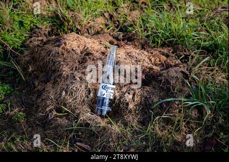 Wassmannsdorf, Germania - 1° novembre 2023: Bottiglia di birra che è stata sconsideratamente smaltita come rifiuti naturali. Foto Stock