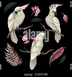 Cockatoo, foglie tropicali e fiori isolati. Vettore. Illustrazione Vettoriale