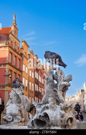 2022-12-15 piccioni sedono sulla scultura della Fontana del Nettuno. Città vecchia di Danzica in inverno. Polonia Foto Stock