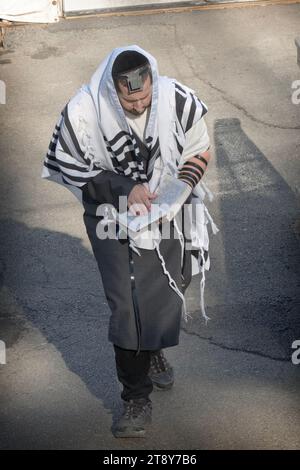 Un ebreo ortodosso che indossa un tallis (scialle di preghiera) e un tefillin (phylacteries), recita preghiere mattutine all'aperto nella contea di Rockland, New York. Foto Stock