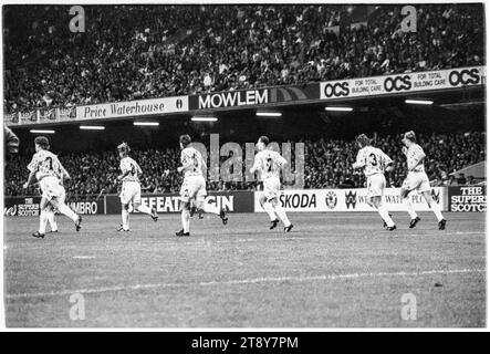 RCS celebra Pavel Kuka segnando il gol di apertura. Qualificazioni al gruppo 4 della Coppa del mondo FIFA 1994 – Galles contro RCS (Cecoslovacchia AKA Representation of Czechs and Slovaks) al Cardiff Arms Park, Galles, Regno Unito l'8 settembre 1993. Una vittoria per il Galles in questa partita avrebbe quasi garantito la qualificazione con 2 partite a gironi rimanenti. Hanno guidato 2-1 ma hanno concesso un gol di punizione da Peter Dubovský e la partita è finita 2-2. Foto: Rob Watkins Foto Stock