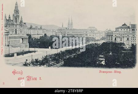 1°, Universitätsring - Vista dal Volksgarten verso l'Università, cartolina fotografica, Carl (Karl) Ledermann jun., produttore, data circa 1898, cartone, collotipo, parco, teatro, Ringstraße, università, 1: centro città, giardini pubblici, parco, teatro (edificio), chiesa (esterno), municipio, Parlamento, Parlamento Vienna, Universitätsring, la collezione di Vienna Foto Stock