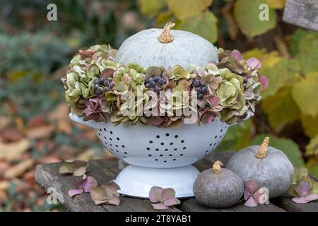 giardino autunnale con zucca e corona di fiori di ortensia Foto Stock