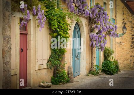 Vecchie porte francesi in legno con glicini saliti appesi al muro Foto Stock