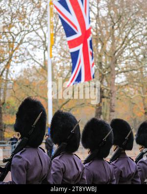 Londra, Regno Unito. 21 novembre 2023. I soldati a piedi stanno di guardia lungo il Mall. Le truppe procedono lungo il Mall, accompagnando le carrozze che trasportano i membri della famiglia reale britannica e i visitatori statali dalla Corea del Sud. Il Presidente della Repubblica di Corea, sua Eccellenza Yoon Suk Yeol, accompagnato dalla signora Kim Keon Hee, fa una visita di Stato nel Regno Unito come ospite delle loro Maestà il Re e la Regina. Crediti: Imageplotter/Alamy Live News Foto Stock