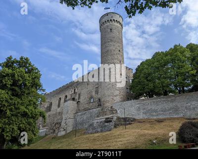 Pikk Hermann è una torre del castello di Toompea, sulla collina di Toompea a Tallinn Foto Stock