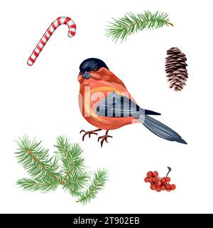 Bullfinch, rowan, rami di abete rosso e cono di pino. Illustrazione vettoriale per gli eventi di Capodanno e Natale. Cartoline, inviti, banner, copertine, volantini. Illustrazione Vettoriale