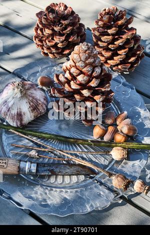 Coni di pino, spicchi d'aglio e nocciole in un piatto trasparente con coltello, visto dall'alto Foto Stock