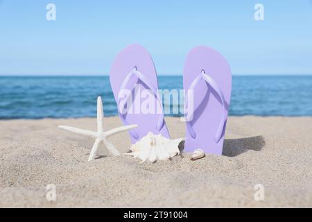 Eleganti infradito viola, stelle marine e conchiglie sulla sabbia della spiaggia Foto Stock