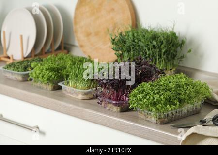 Diversi microgreen freschi in contenitori di plastica e forbici sul ripiano della cucina Foto Stock