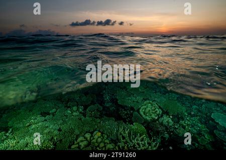 Barriera corallina della laguna di Mayotte al tramonto Foto Stock