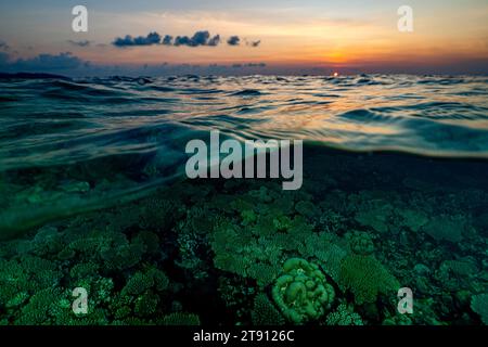 Barriera corallina della laguna di Mayotte al tramonto Foto Stock