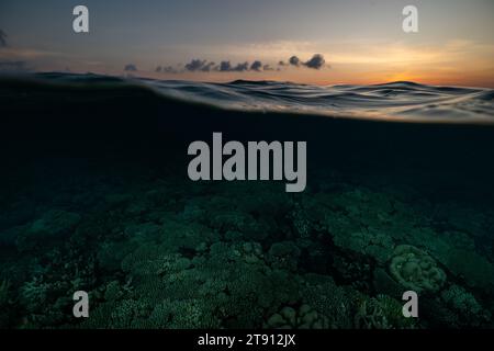 Barriera corallina della laguna di Mayotte al tramonto Foto Stock