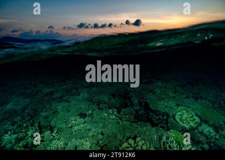 Barriera corallina della laguna di Mayotte al tramonto Foto Stock
