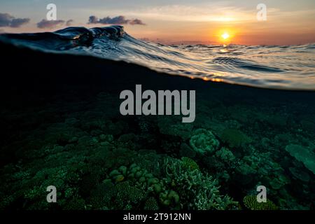 Barriera corallina della laguna di Mayotte al tramonto Foto Stock