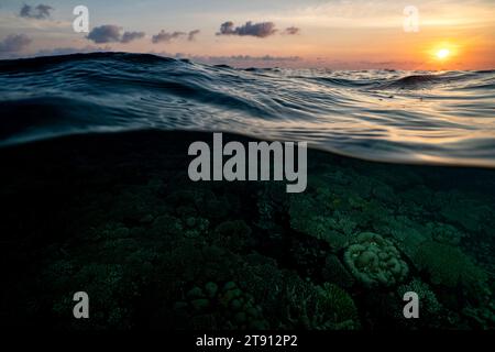 Barriera corallina della laguna di Mayotte al tramonto Foto Stock