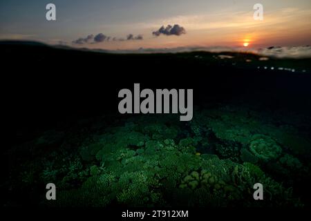 Barriera corallina della laguna di Mayotte al tramonto Foto Stock