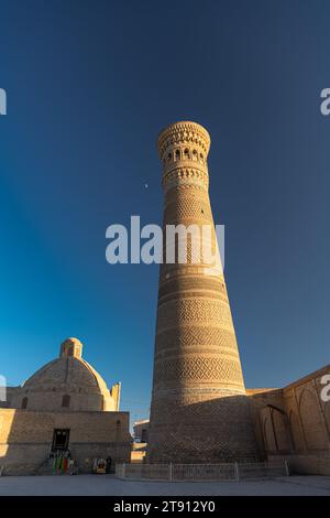 27 GIUGNO 2023, BUKHARA, UZBEKISTAN: Vista sulla moschea e il minareto poi Kalon al tramonto, a Bukhara, Uzbekistan. Immagine verticale con spazio di copia f Foto Stock