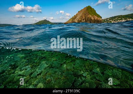 Barriera corallina della laguna di Mayotte al tramonto Foto Stock