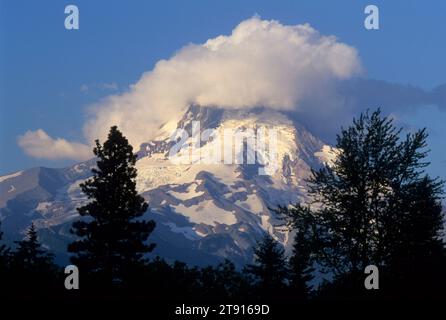 Monte Hood da Hood River Valley, Hood River County, Oregon Foto Stock