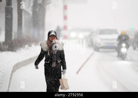 Harbin, provincia cinese di Heilongjiang. 22 novembre 2023. Un cittadino cammina sulla neve a Harbin, capitale della provincia di Heilongjiang nella Cina nord-orientale, 22 novembre 2023. Crediti: Wang Jianwei/Xinhua/Alamy Live News Foto Stock