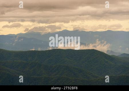 Ammira il Moody Day al Great Smoky Mountains National Park nel North Carolina Foto Stock