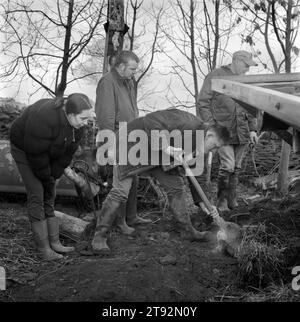 Ratto che cattura il Regno Unito. Andare a rattare al Royal Albert Ratting Club. Domenica mattina a scavare topi. Hunshell Farm, Greenmoor, Barnsley, Yorkshire. Inghilterra, anni '2002 2000, HOMER SYKES Foto Stock