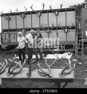 I Quantock Staghounds. Il Quantock Staghounds Antler Competition - capanne di cervi - è parte integrante del Quantock Show di agosto durante le festività natalizie. Questi palchi sono quelli che sono stati trovati da entusiasti collezionisti di corna, e tutti sono stati gettati naturalmente. I premi vengono assegnati per una varietà di classi, dalla migliore coppia autunnale 2003 alla migliore singola primaverile e campione dei campioni..2002, 2000s UK Foto Stock