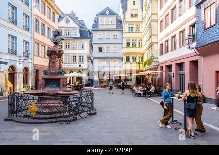 La fontana Stoltze sorge sulla piazza del mercato del pollo nella città vecchia di Francoforte sul meno, in Germania, fiancheggiata da case medievali colorate. Foto Stock