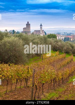 Italia, Toscana, quartiere di Firenze, paese di Vinci, luogo di nascita di Leonardo da Vinci Foto Stock