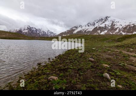 Il lago di Pensila, abbracciato da vette innevate, svela un paradiso sereno. I fiori di bosco adornano i prati, riflettendo l'armonia della natura in acque tranquille. Foto Stock