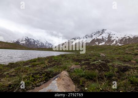 Il lago di Pensila, abbracciato da vette innevate, svela un paradiso sereno. I fiori di bosco adornano i prati, riflettendo l'armonia della natura in acque tranquille. Foto Stock