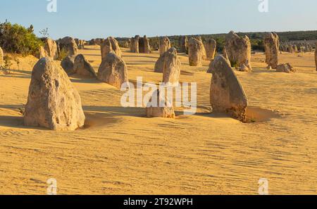 I pinnacoli calcarei, il parco nazionale di Nambung, Foto Stock