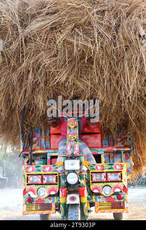 Kazipur, Sirajganj, Bangladesh. 22 novembre 2023. I conducenti trasportano paglia di risaia in piccoli camion a Kazipur Upazila, distretto di Sirajganj, Bangladesh. La paglia di risone è un sottoprodotto per gli agricoltori e la vendono ai grossisti da 5 a 7 dollari per 100 kg. La paglia viene poi venduta dai grossisti per tra gli 8 e i 10 dollari. Gli agricoltori usano il fieno come cibo e lettiere per il loro bestiame. La paglia viene utilizzata per vari altri scopi, tra cui tettoie domestiche e una forma di biocarburante. Crediti: ZUMA Press, Inc./Alamy Live News Foto Stock